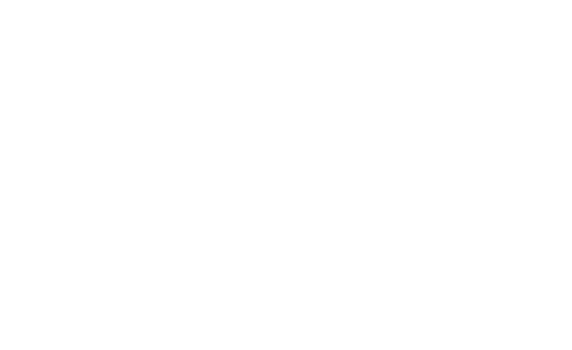 logo_raio